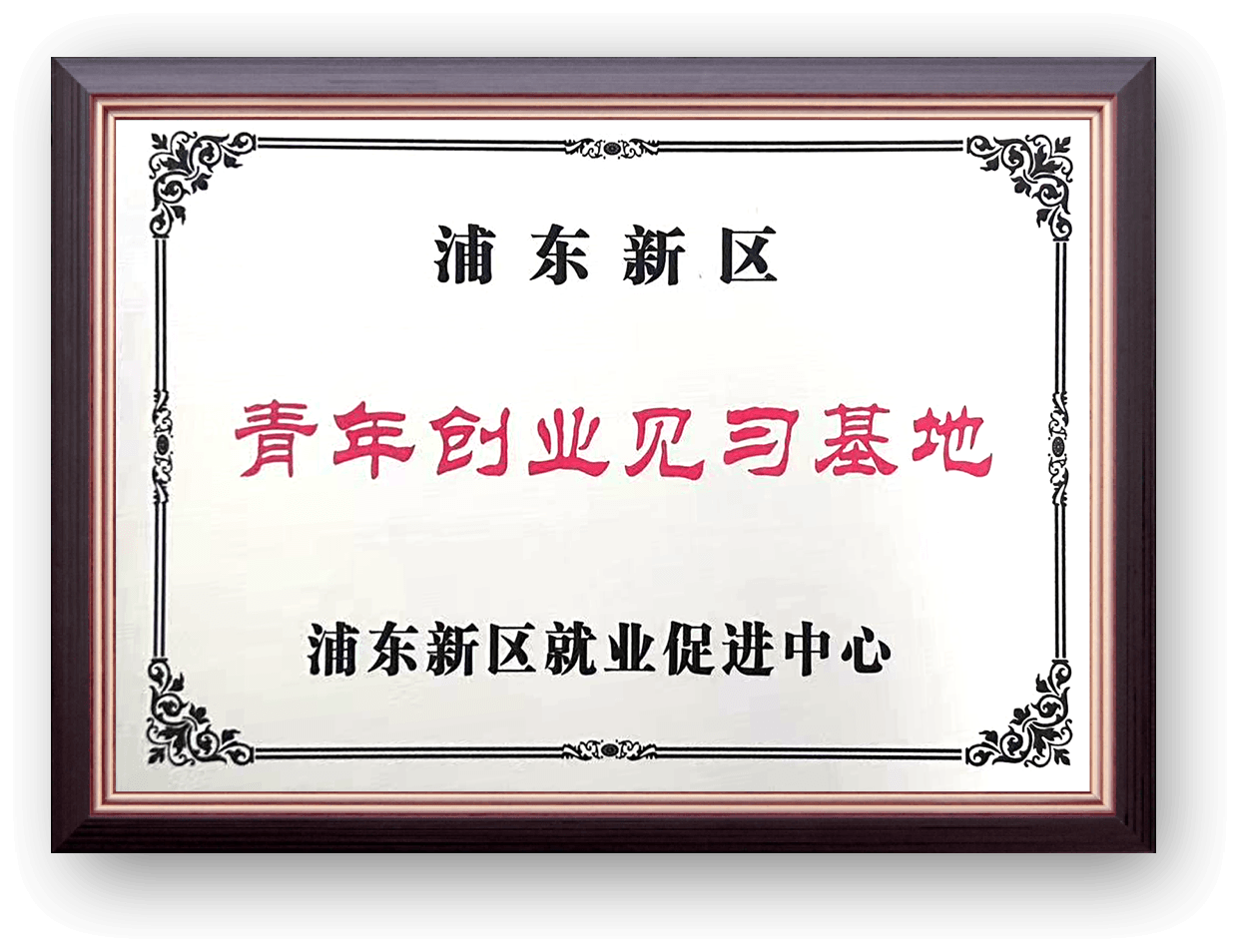上海市浦东新区青年创业见习基地